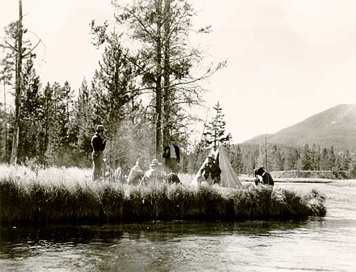 yellowstone expedition