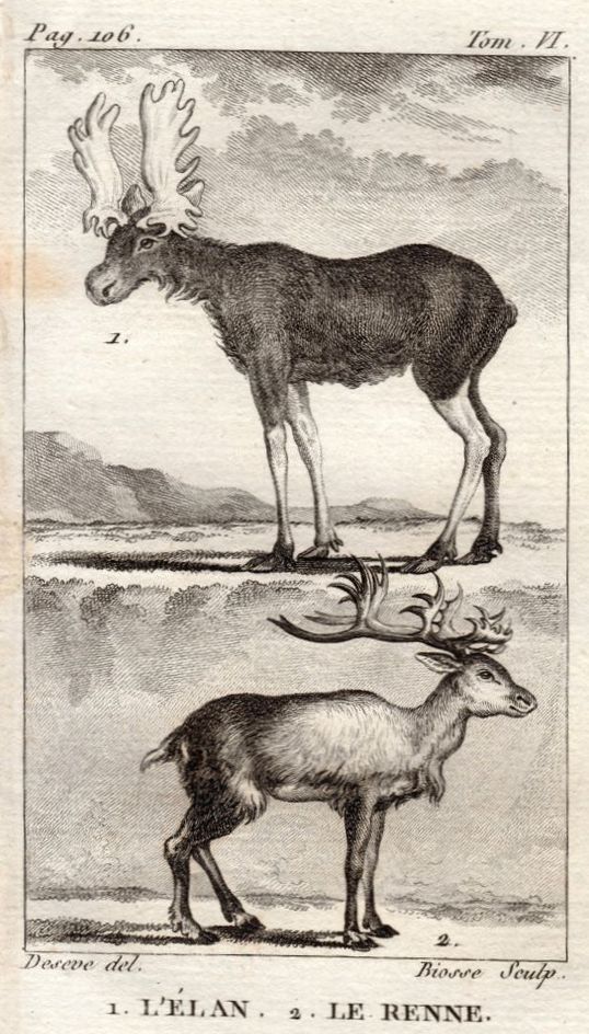 Buffon had an imprecise knowledge of the relative sizes of moose and reindeer, as well as much else about North America.