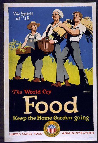After America entered the war, Herbert Hoover returned to the US. Pres. Wilson put him in charge of the Food Adminstration, which encouraged Americans to conserve for the war effort.