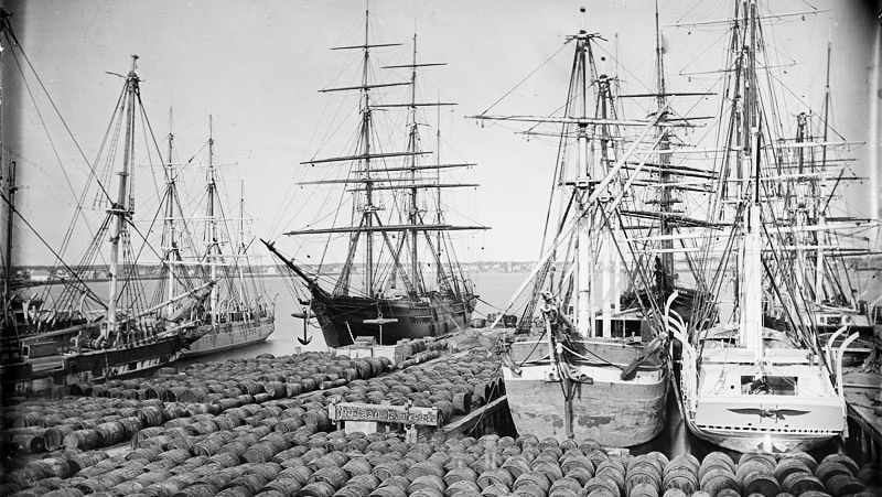 High risk, high return investments in whaling ships, such as these in New Bedford, Massachusetts, in the late 1800s, provided a model for modern venture capital. Courtesy New Bedford Whaling Museum.