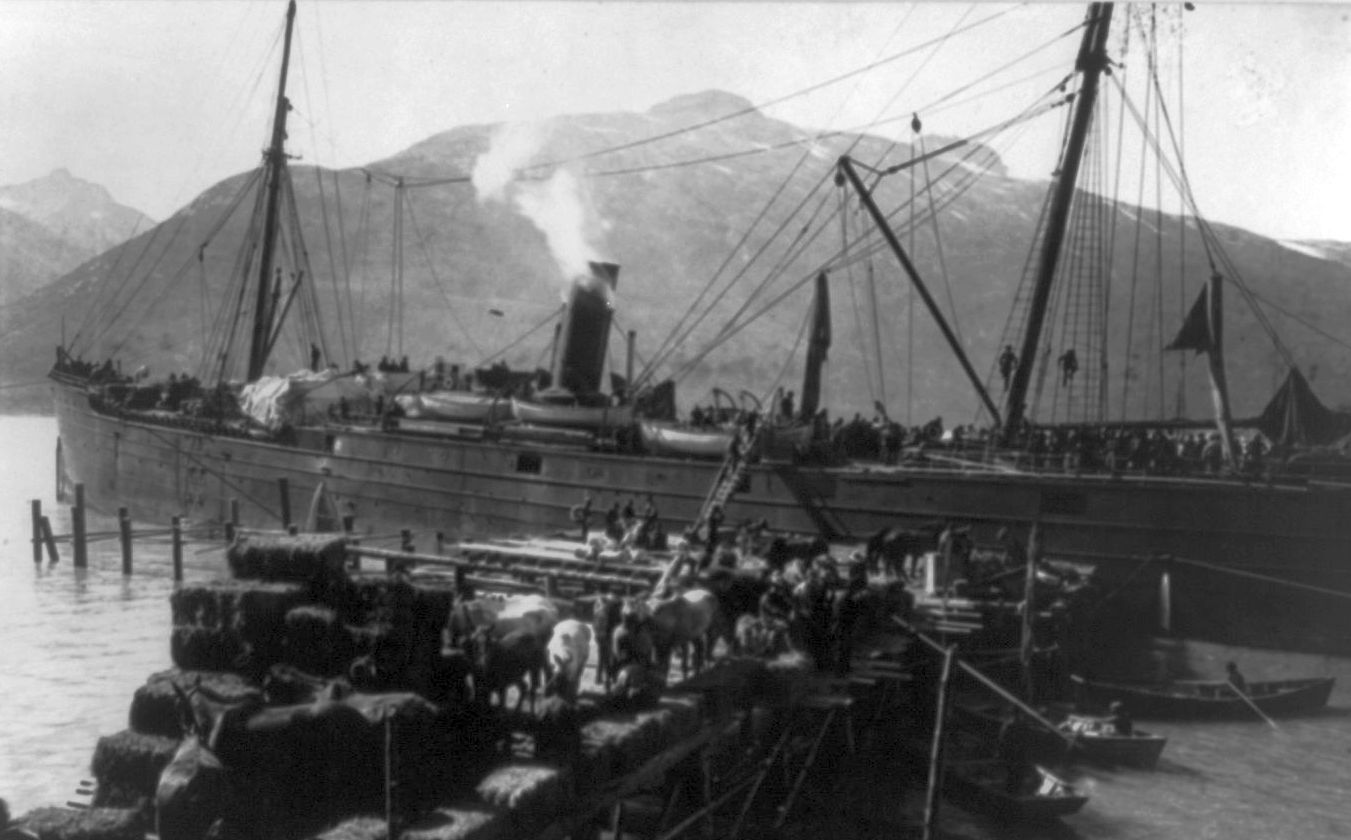 Horses, bales of hay and freight pack a pier in Skaguay as the steamer Williamette lands to unload more men and supplies. Photograph by Winter & Pond. Library of Congress.