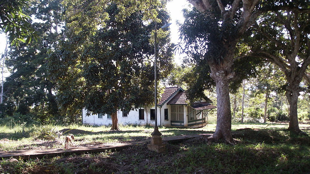 fordlandia bungalos