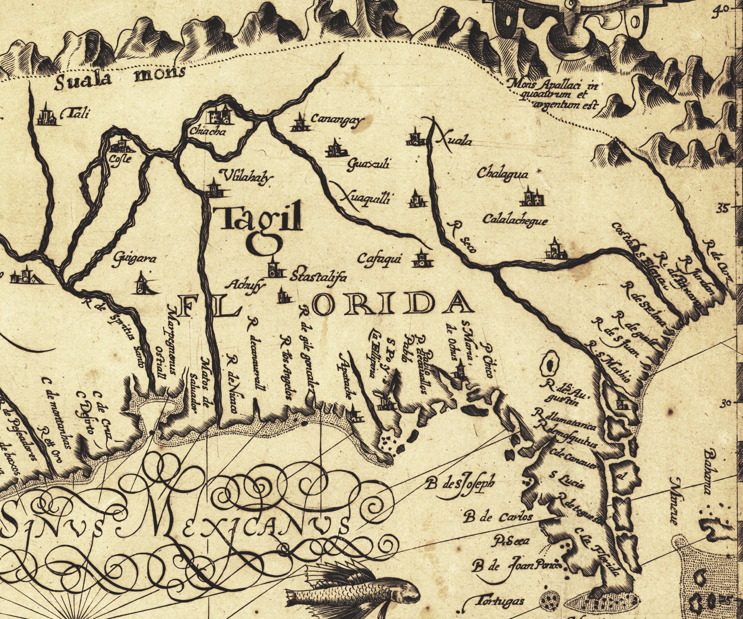Florida is shown as extending to the Mississippi (R. de Spiritus Santo) and ississippi), discovered by Hernando de Soto in 1541. In the upper right-hand corner are shown the Mons Appalaci (the Appalachians), where — the hopeful Latin reads — "gold and silver is."
