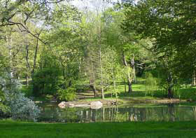 The Pool in Central Park's North End is a haven from hectic city life.