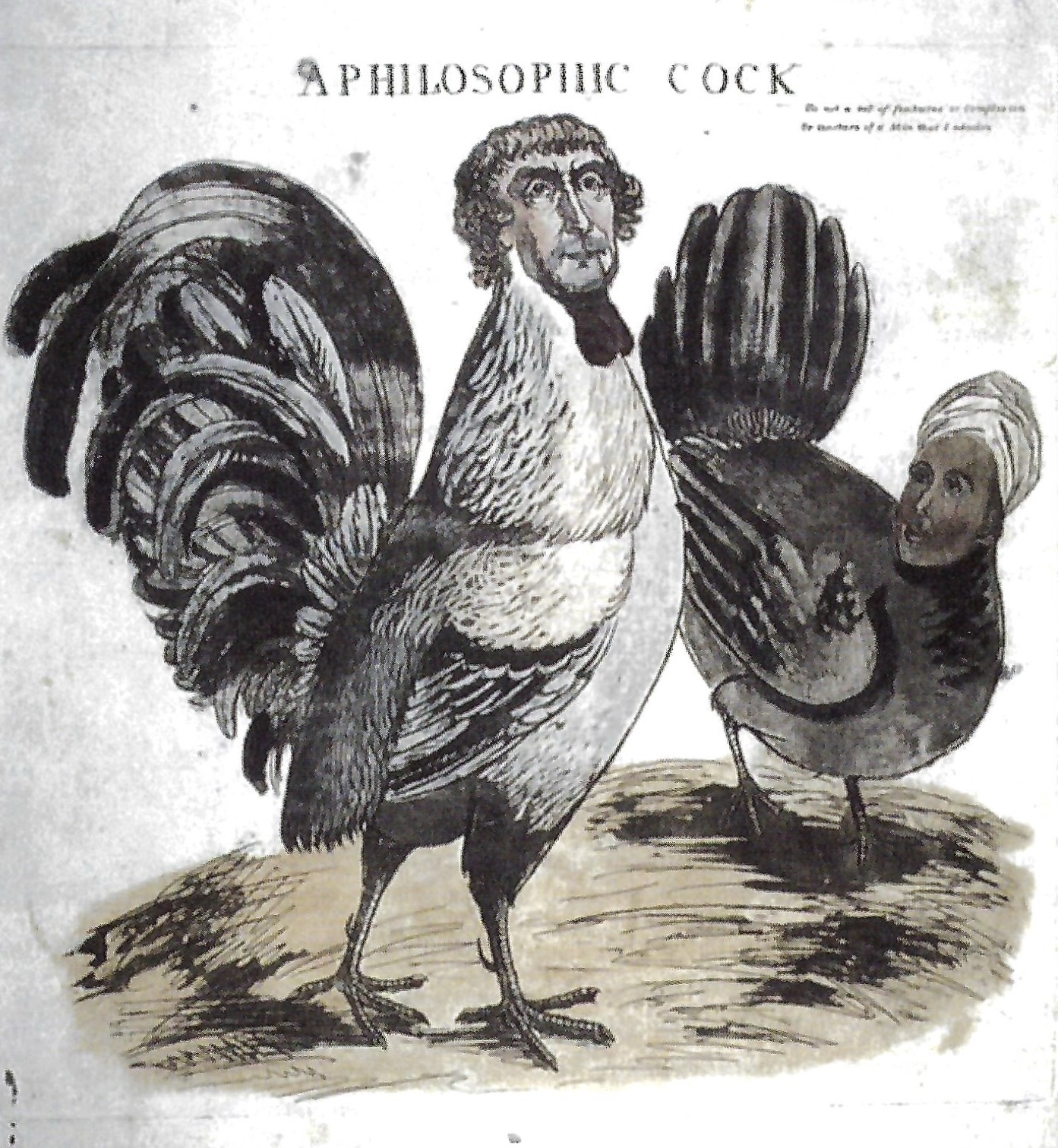 An 1804 political cartoon, circulated by Thomas Jefferson's political opponents, condemned his long-term relationship with his slave, Sally Hemings. 