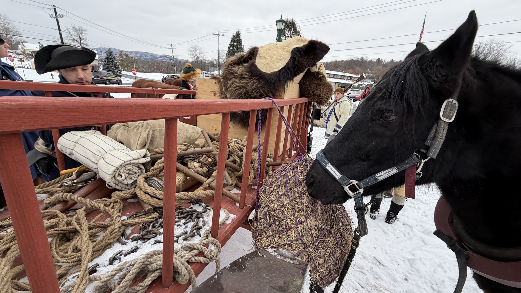 Horses preparing for transport.