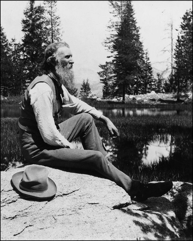 John Muir in 1902. Library of Congress.