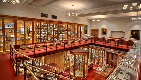 The Mutter Museum