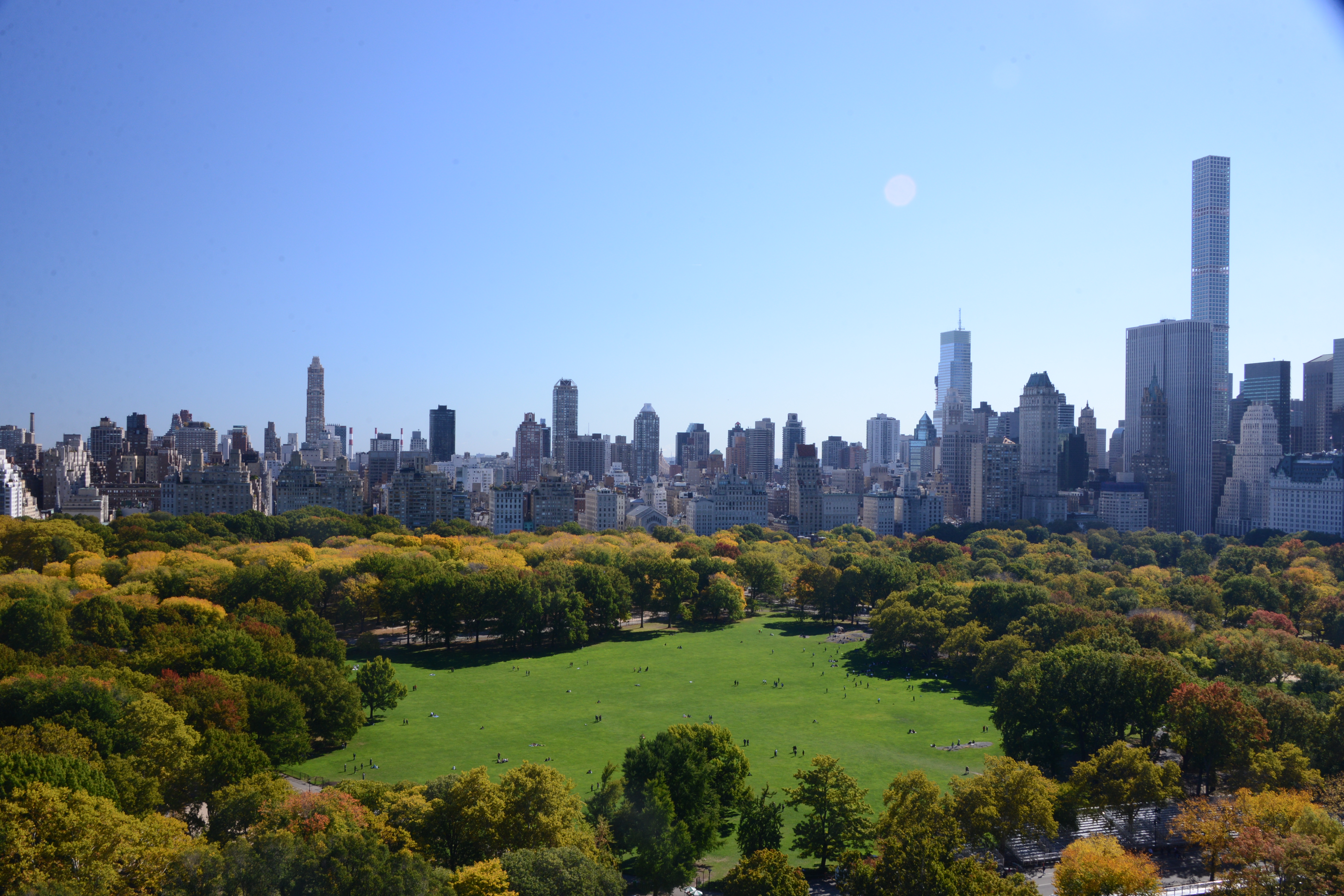 sheep meadow