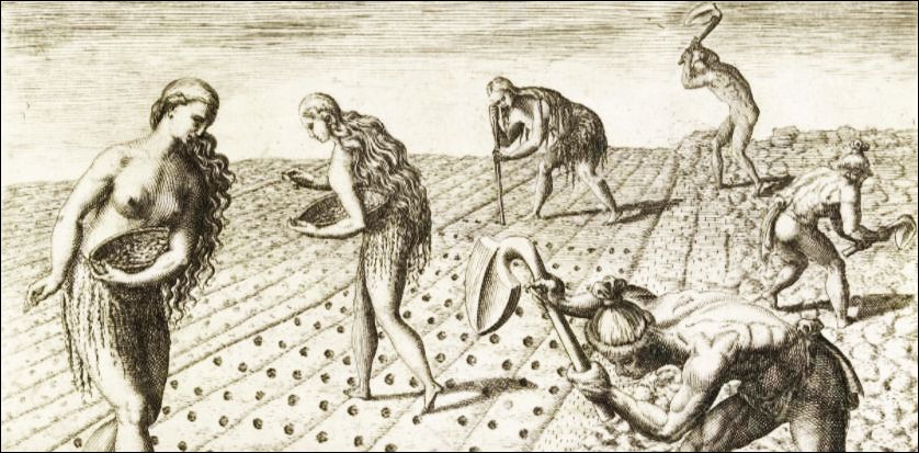 De Bry's engraving of Secotan Indians planting crops was modelled on Gov. John White's drawings. The Outer Banks area could easily have sustained the refugees from the "Lost Colony." Rijksmuseum.