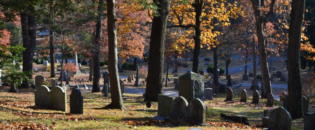 Begun in 1855, Sleepy Hollow Cemetery started out as one of the first nature preserves in the U.S.