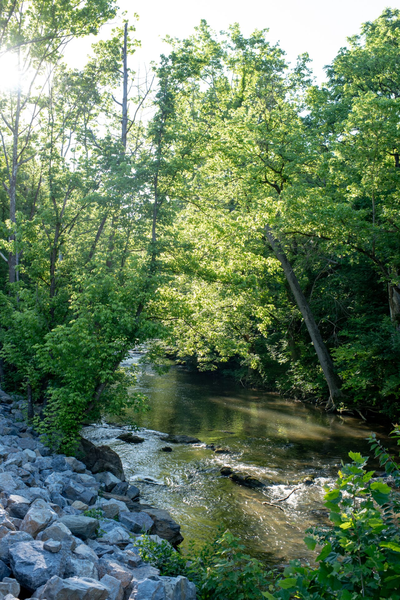 tinker creek