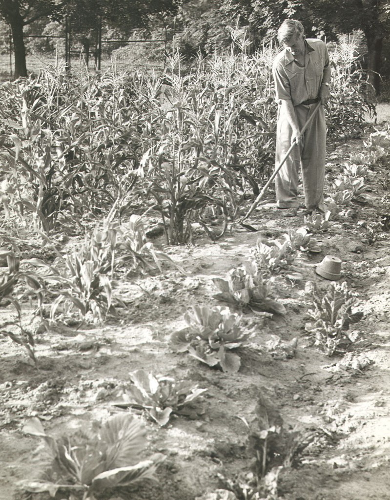 wallace in garden