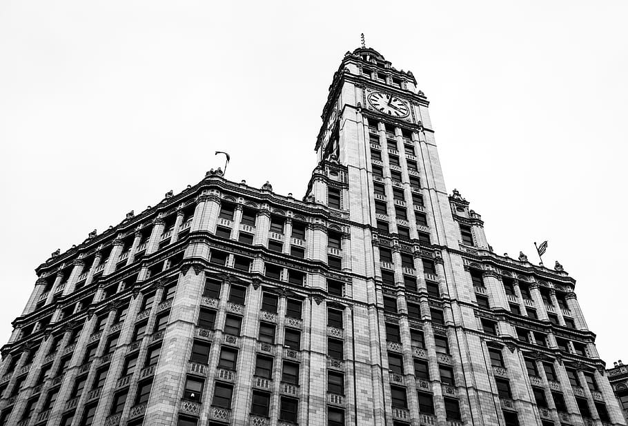 chicago tribune building