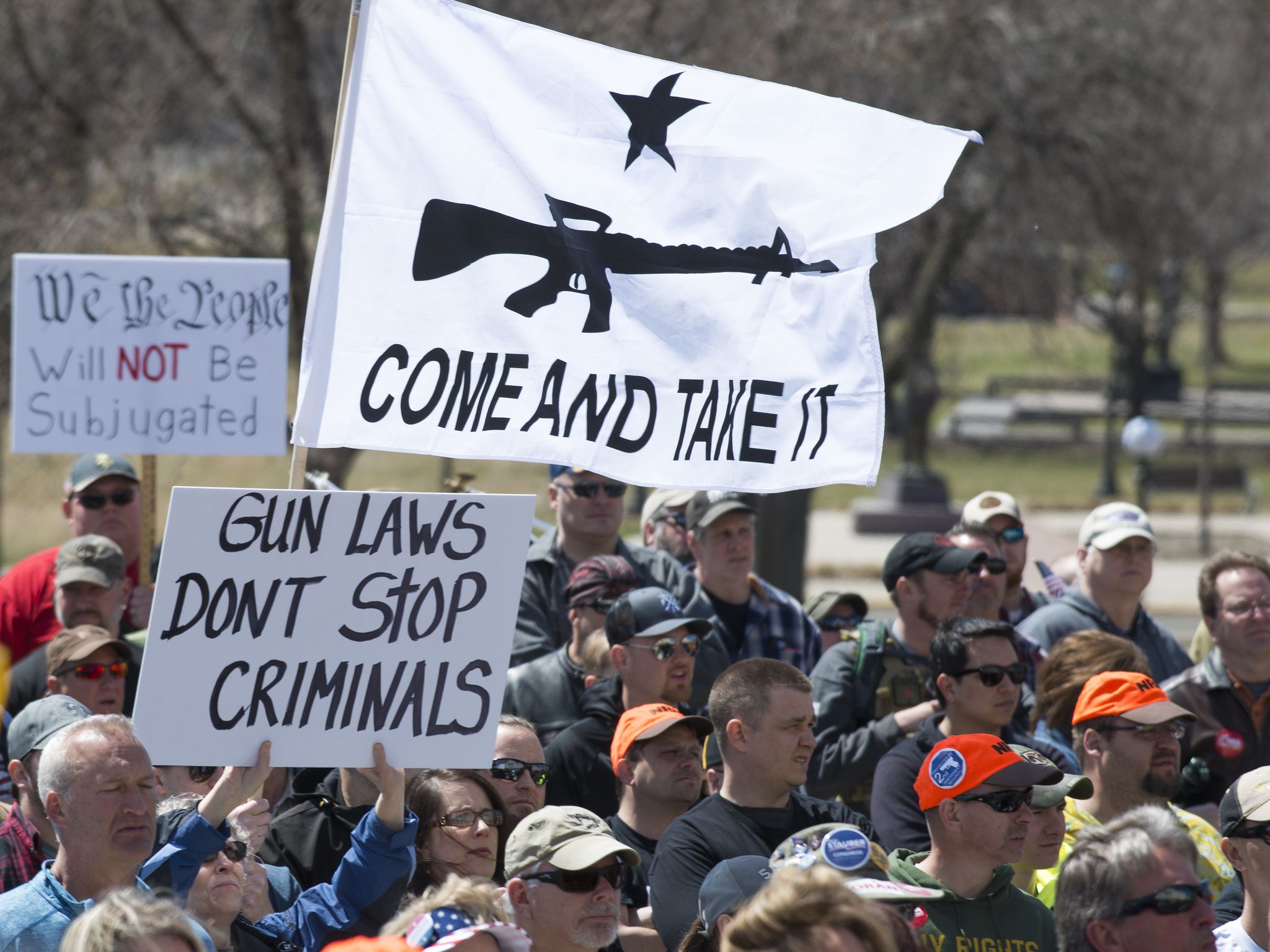 Gun owners gathered at the Minnesota Capitol in April 2018 to oppose background checks on gun purchases.