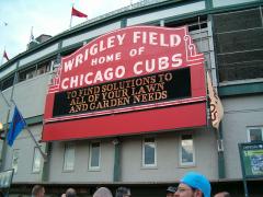 Wrigley Field