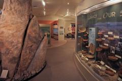 Barona Museum