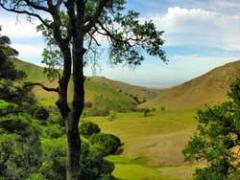 Black Diamond Mines Preserve