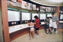 American Numismatic Association Money Museum