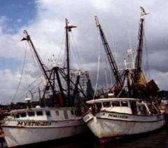 Apalachicola Maritime Museum