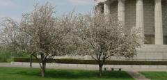 George Rogers Clark National Historical Park