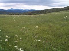 Hubbardton Battlefield