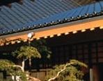 Morikami Museum &amp; Japanese Gardens