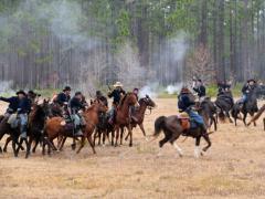 Olustee Battlefield Historic State Park