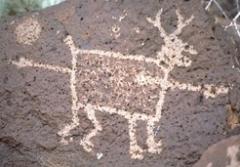 Petroglyph National Monument