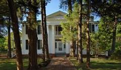 Rowan Oak