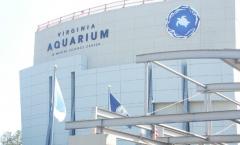 Virginia Aquarium And Marine Science Center