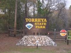 Torreya State Park