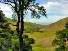 Black Diamond Mines Preserve