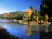 Sierra Nevada Logging Museum