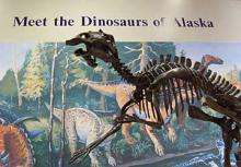 Alaska Museum Of Natural History