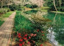 Alfred B. Maclay State Gardens