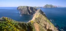 Channel Islands National Park