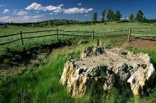 Florissant Fossil Beds National Monument