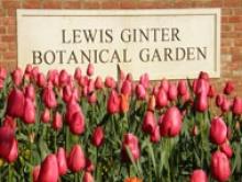 Lewis Ginter Botanical Gardens