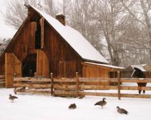 Littleton Historical Museum