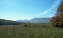 Shenandoah Battlefields National Historic District