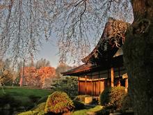 Shofuso Japanese House And Garden