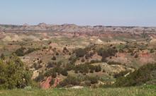 Theodore Roosevelt National Park