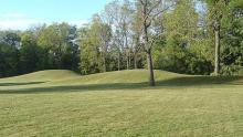 Toolesboro Indian Mounds