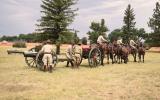 horse-drawn artillery